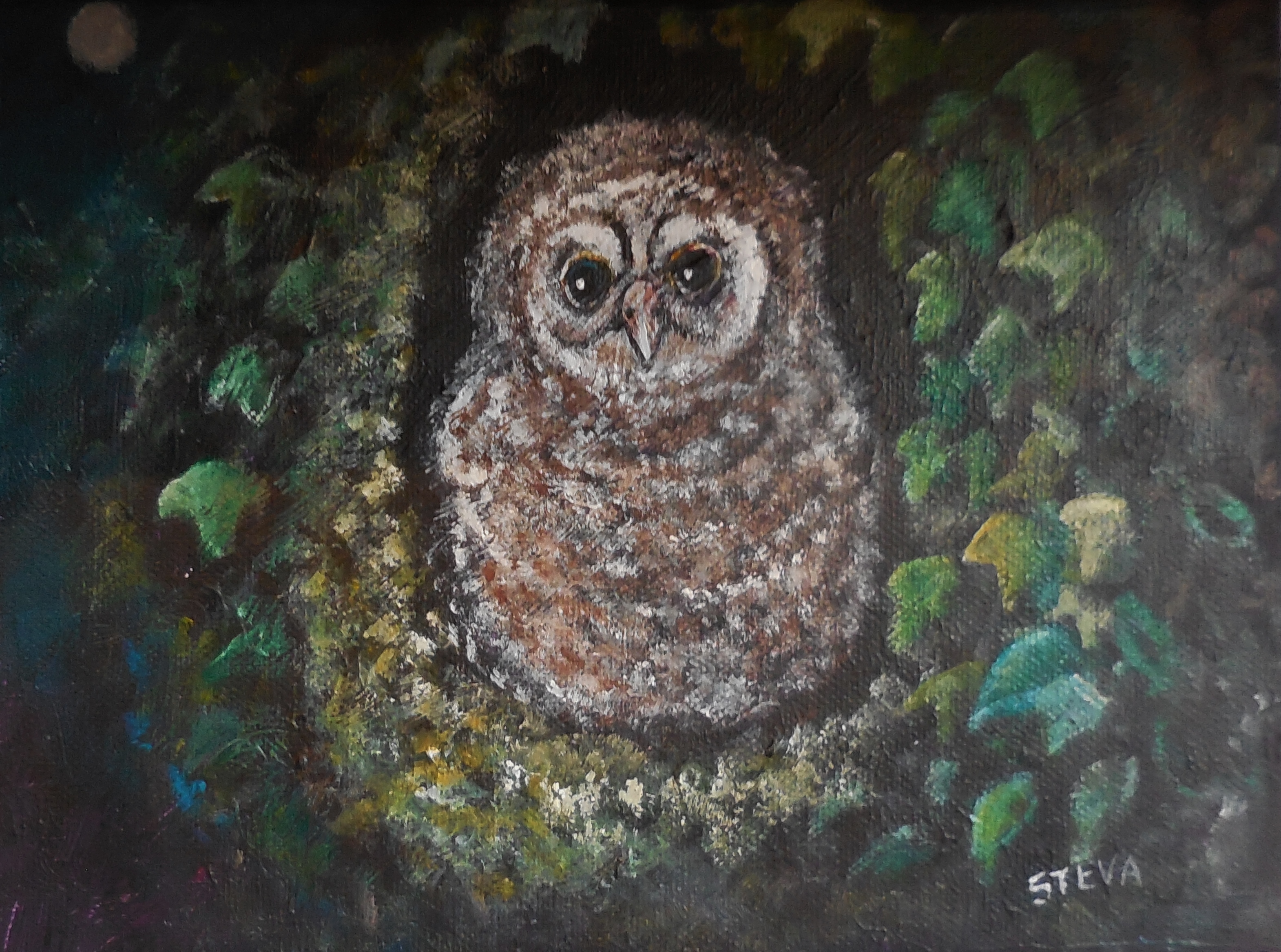 Bébé hulotte, 18x24 cm, acrylique, CP