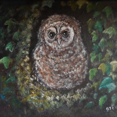 Animaux & Paysages