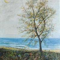 L' automne à la plage