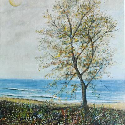 L' automne à la plage