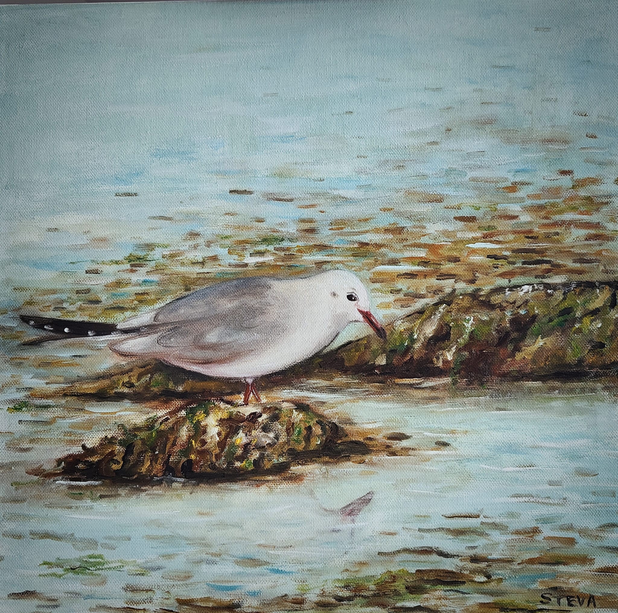 La mouette 40x40 cm 13 09 2024