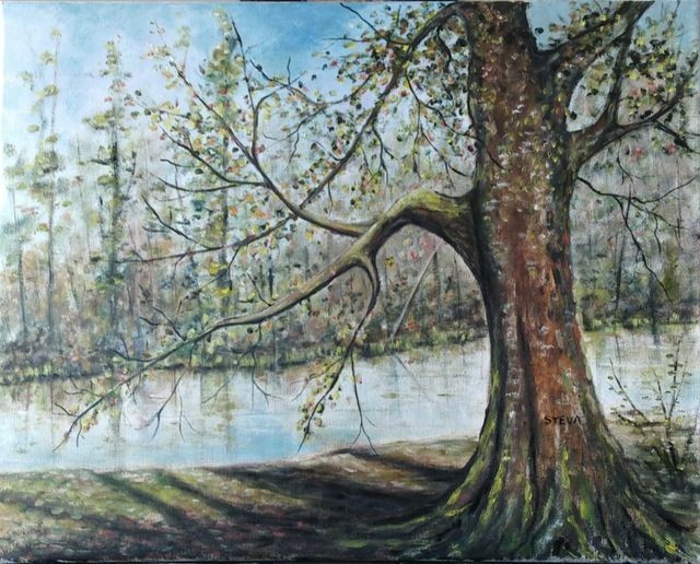 Le viel arbre moussu 