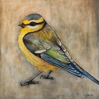 Mésange (etude)