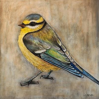 Mésange (etude)