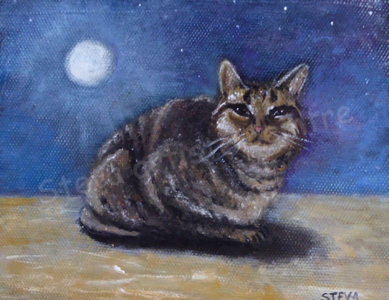 steva-chat-lune-18-24cm 2019