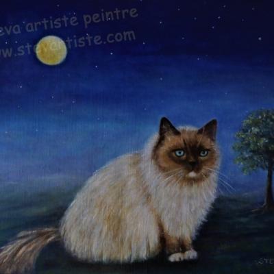 Le chat kokos , Suisse commande