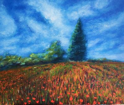 Le champ de coquelicots 61x50 cm