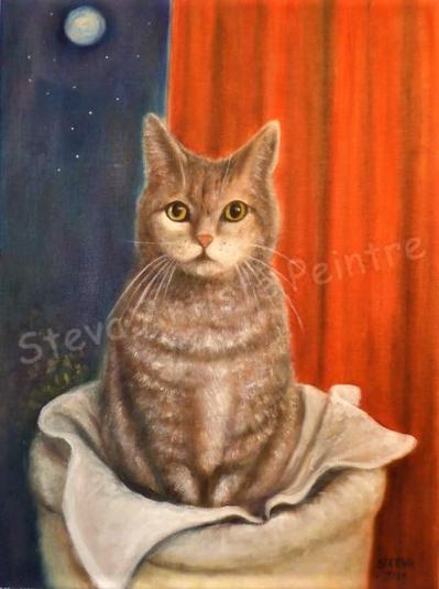 Je m'appelle Mandie, ou le chat de Sylvie-2019