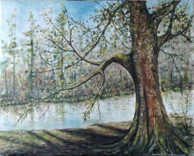 Le viel arbre moussu 50x40 cm juillet 2024 copier