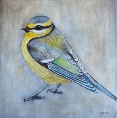 Regards echanges ou la mesange 40x40 cm 2024 copier